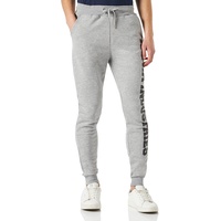 Alpha Industries Big Letters Jogger grey heather, S