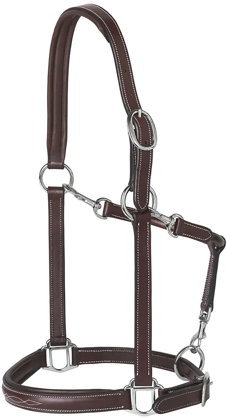 PRESTIGE Lederhalfter tabakbraun VB