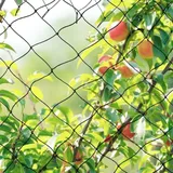 Vogelnetz für den Garten, Vogelschutznetz für Balkon, Teiche, Obstbäume, Nutzpflanzen, Sicherheitsnetz für Obstkäfig, Gemüse, 5 x 10 m