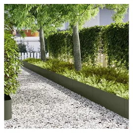 vidaXL Raseneinfassung 100 x 0,05 x 30 cm 20 Stück Olivgrün