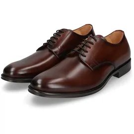 Henry Stevens Wes PD Herren Braun 40