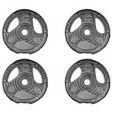 Fidusport Gewichte Hantelscheiben für Hantelset 4x2,5 kg Scheiben Ø20cm Fitness