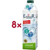 Extaler Mineralwasser »Mineralquell naturell« 8 Tetrapacks je 1 Liter braun