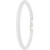LEDVANCE T5-Ringform 11,6W 830 2GX13 Warmweiß 3000K