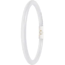 LEDVANCE T5-Ringform 11,6W 830 2GX13 Warmweiß 3000K