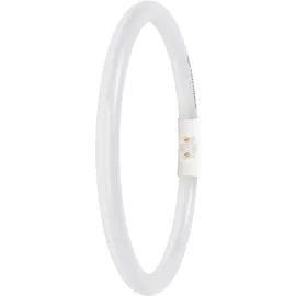 LEDVANCE T5-Ringform 11,6W 830 2GX13 Warmweiß 3000K