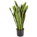 aplanta Künstlicher Bogenhanf - Liam | cm