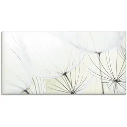 Glasbild ARTLAND "Pusteblumen-Samen aufgehellt", grün (farbe bild(er): grün), B:100cm H:50cm, Bilder, in verschiedenen Größen