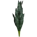 Europalms Bogenhanf (EVA), künstlich, grün, 60cm