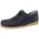 Blau 43