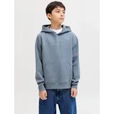 JACK & JONES JJESTAR Blue 176