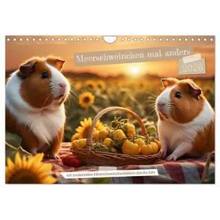 Calvendo Meerschweinchen mal anders! (Wandkalender 2026 DIN A4 quer), CALVENDO Monatskalender: Mit zuckersüßen Meerschweinchenbildern durchs Jahr. (CALVENDO Tiere)