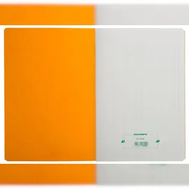 Exacompta 17040E Mehrkolonnenheft gebunden mit 4 spalten auf 1 Seite und 34 Zeilen, 40 Blatt, 110g, DIN A4, - Farben sortiert