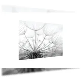 ALLboards Herdabdeckplatte 2er Set mehrfarbig