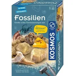 Experimentierset Fossilien