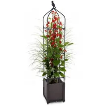Gartenwelt Riegelsberger Blumenkasten mit Rankhilfe 30 x 30 x 160 cm Braun