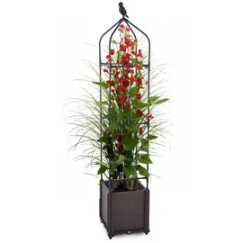 Gartenwelt Riegelsberger Blumenkasten mit Rankhilfe 30 x 30 x 160 cm Braun