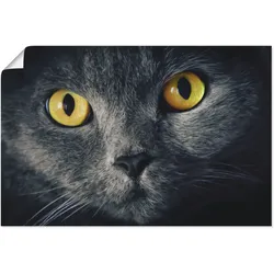 Wandbild ARTLAND "Katzenaugen", schwarz (farbe bild(er): schwarz), B:90cm H:60cm, Bilder, als Alubild, Outdoorbild, Leinwandbild, Poster in verschied. Größen