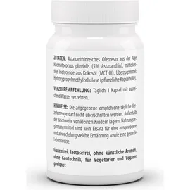VITA-WORLD Astaxanthin Kapseln 60 St.