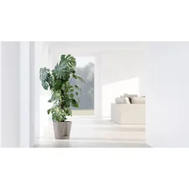 Ecopots Venice 2 Ø 30 x 26,3 cm Braungrau