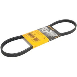 Continental Keilrippenriemen 4PK820