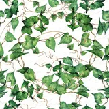 Ti-Flair 20 Servietten Papier 33x33cm 3-lagig hochwertige Einweg Papierservietten Efeublätter Blätter Motiv Hochzeitsservietten Motivservietten Lunchservietten