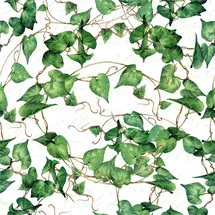 Ti-Flair 20 Servietten Papier 33x33cm 3-lagig hochwertige Einweg Papierservietten Efeublätter Blätter Motiv Hochzeitsservietten Motivservietten Lunchservietten