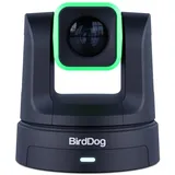 BirdDog X5 Ultra Black