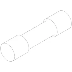 Buderus Sicherung T250mA, 10 Stück 8732902432