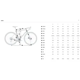 Orbea Terra H40 2025