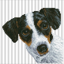 DIAMOND DOTZ DD3.023 - Original 5D Diamond Painting Set Hund, Kreativset mit 3.579 Diamant Mosaiksteinen, Malset ca. 20 x 20 cm, DIY Komplettset für Erwachsene und Kinder ab 8 Jahren