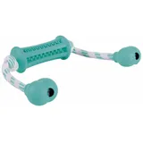 Trixie Denta Fun Stick mit Seil 9 cm Grün