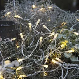 star trading deutschland gmbh Best Season LED-Lichterkette,160tlg. Farbe warm white, outdoor, m.Trafo, Kabel:transp., 499-36 - Transparent