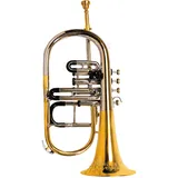 Flügelhorn 4 Ventile Messing Instrument mit Warmton Glatte Ventile für Musiker und Studenten