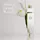 Elizabeth Arden White Tea Eau de Toilette 30 ml