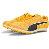 Puma Evospeed Star 8 sun stream/sunset glow/puma black 42,5