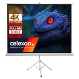 Celexon basic Stativ-Leinwand 120" | 220x220 cm 1:1 | mobile transportable 4K, Full-HD Leinwand | Beamerleinwand mit Stativ für Heimkino- und Büropräsentationen | Blitzschneller Aufbau in 3 Schritten
