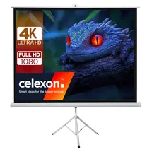 Celexon basic Stativ-Leinwand 120" | 220x220 cm 1:1 | mobile transportable 4K, Full-HD Leinwand | Beamerleinwand mit Stativ für Heimkino- und Büropräsentationen | Blitzschneller Aufbau in 3 Schritten