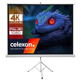 Celexon basic Stativ-Leinwand 120" | 220x220 cm 1:1 | mobile transportable 4K, Full-HD Leinwand | Beamerleinwand mit Stativ für Heimkino- und Büropräsentationen | Blitzschneller Aufbau in 3 Schritten