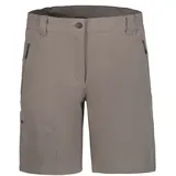 ICEPEAK Beaufort Beige 44