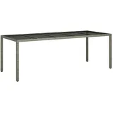 vidaXL Gartentisch 250 x 100 x 75 cm Grau