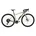 Specialized Diverge E5 Comp 2026 54 Zoll RH 54 cm Unisex grün/mint