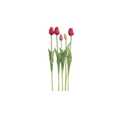 Französischer Tulpenbund   , rot , Polypropylen,Kunststoff , Maße (cm): H: 47
