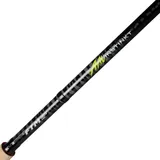 Fishing Tackle Max FTM Redlight 4,20m 110-250g Aalrute,