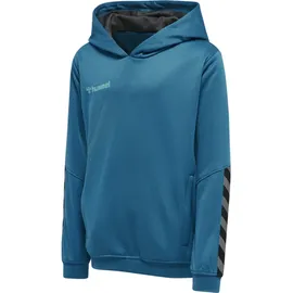 hummel Authentic Polyester Hoodie Kinder celestial 116