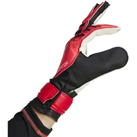 adidas Predator Training Schwarz/Lucid Red/Schwarz 12