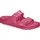 Beetroot Purple 37