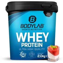 Bodylab24 Whey Protein Pannacotta Pulver 2000 g