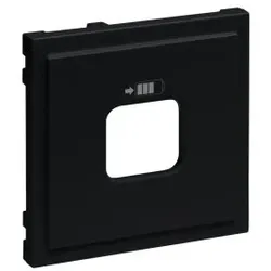 Legrand 765327 SEANO Abdeckung für USB-Ladesteckdosen A+C und C+C, Farbe: Schwarz lackiert 0 0 1