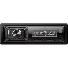 JUST SOUND best choice for caraudio Autoradio Einbaupaket JBL Celebrity 150 passend für BMW X5 E53 + Business Radio Schwarz | Bluetooth USB
